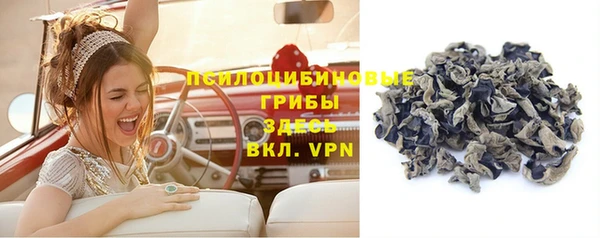 меф Мегион