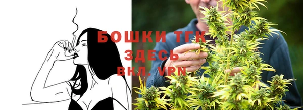 меф Мегион