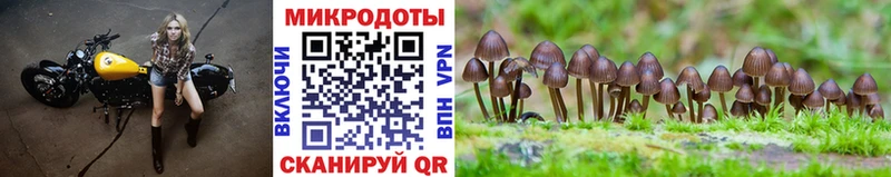 Купить закладки  Кыштым  Псилоцибиновые грибы прущие грибы 